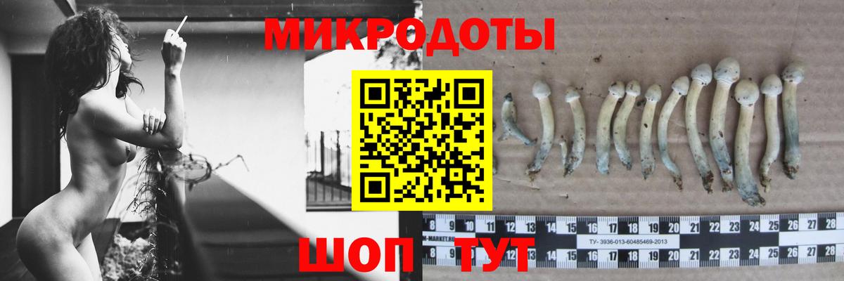 Сегежа  Галлюциногенные грибы Cubensis  Галлюциногенные грибы MAGIC MUSHROOMS  Вход с VPN 